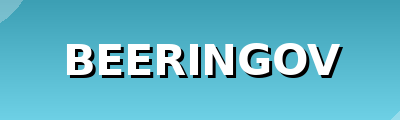 beeringov.ru